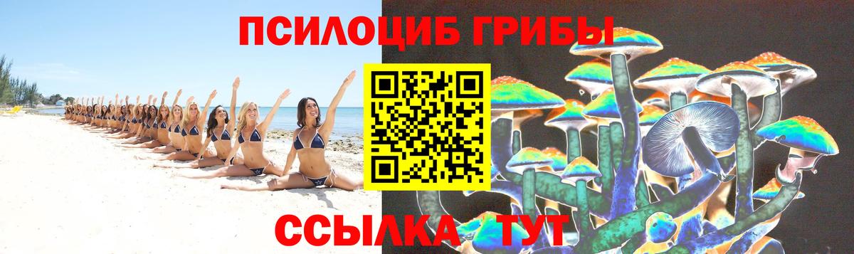 Псилоцибиновые грибы MAGIC MUSHROOMS  Вход с VPN  Городец 